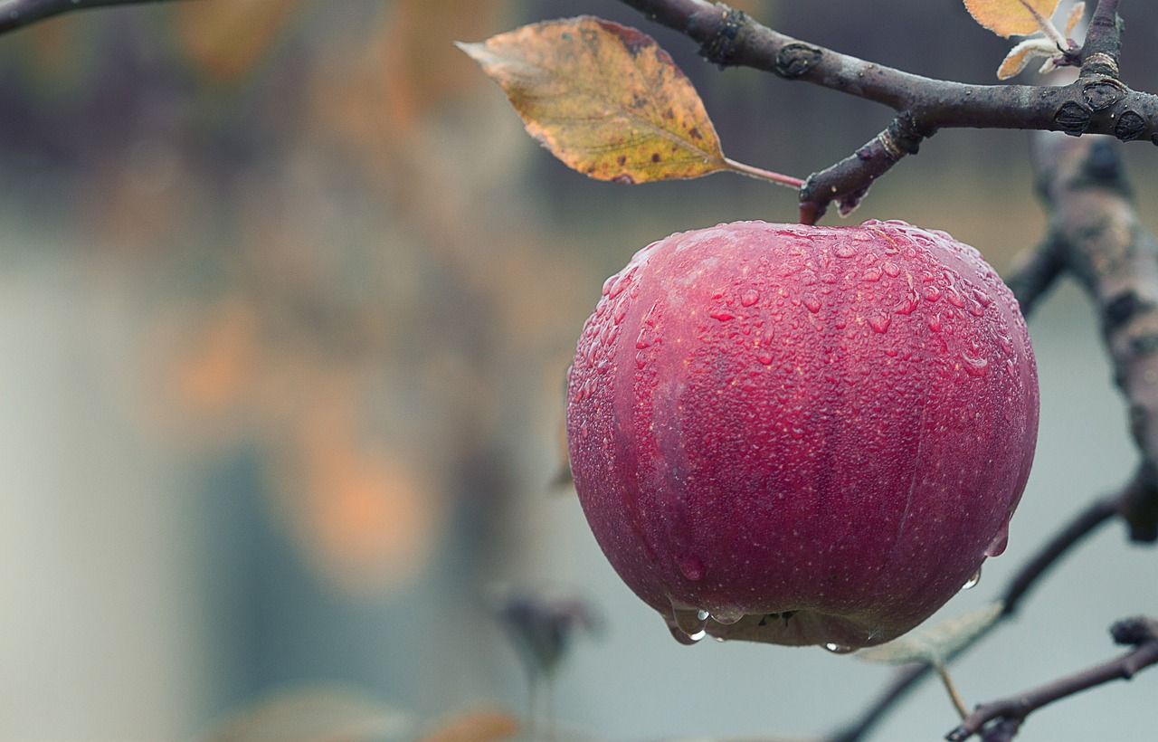  The Secrets to Longevity 