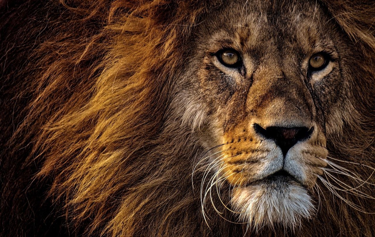 Fit to Lead: The Foundation of Sustainable Leadership 