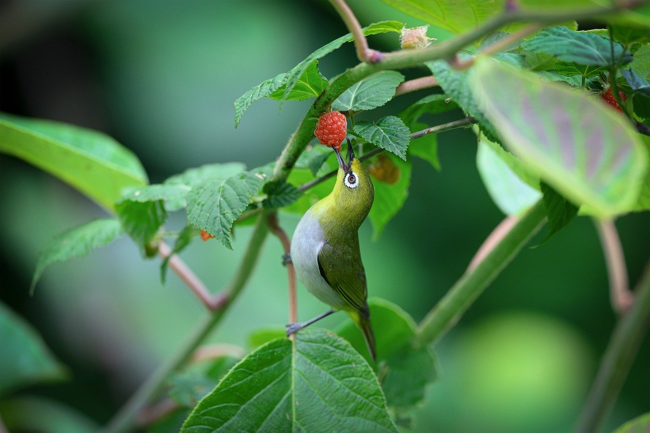 Eating Mindfully: A Small Habit with Big Impact 